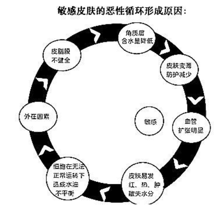 為什么你的臉容易過敏？