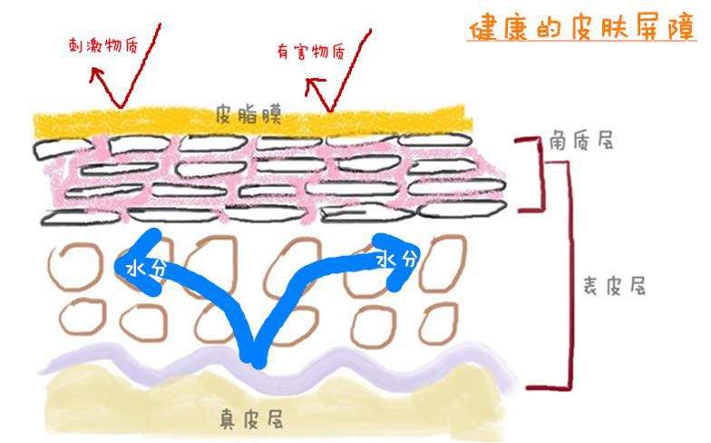 軍事迷的護膚解讀：我將合理清潔、保濕、防曬